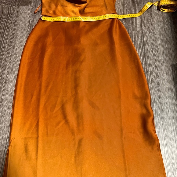 Sleek Tan Dress by Sachin & Babi - Picture 12 of 13